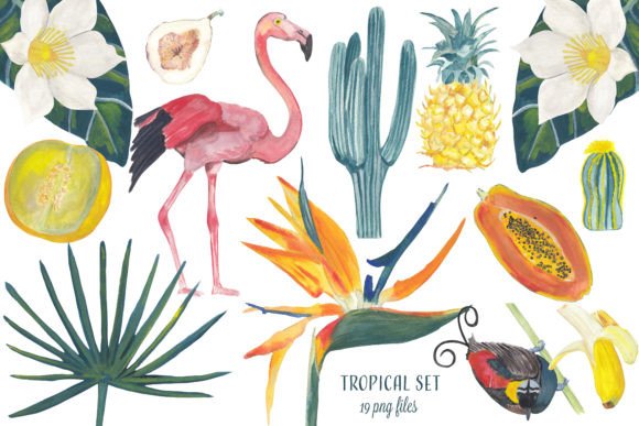 Download Tropical Hand Painted Clipart Gouache - Hand painted Collection