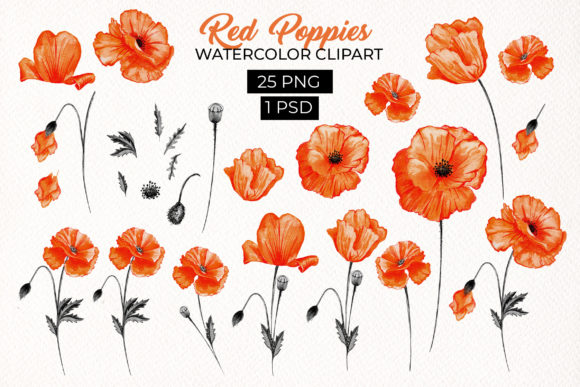 Download Red Poppies Floral Design Elements - Elements Collection