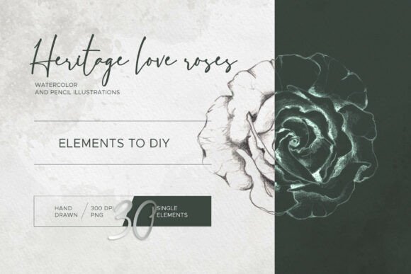Download Heritage Tea Roses. Single Elements - Elements Collection